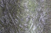 Hanley fibreglass roof work